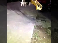 공장 맞춤형 브랜드 새로운 미니 발굴기 수압 잡기 버킷 판매