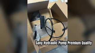 Sany 유압 팬 모터 펌프 60248398 고품질 부품